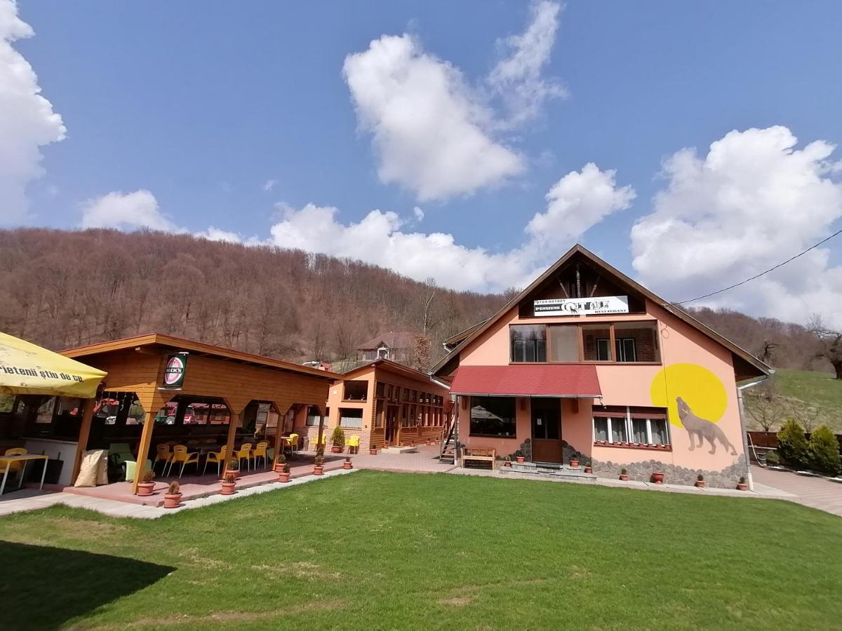 Pensiunea Colt Alb Băile Homorod 外观 照片
