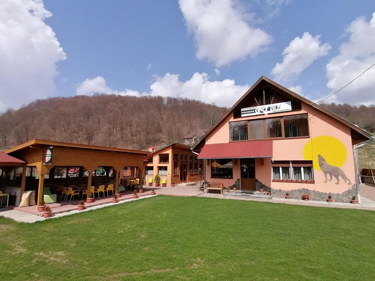 Pensiunea Colt Alb Băile Homorod 外观 照片