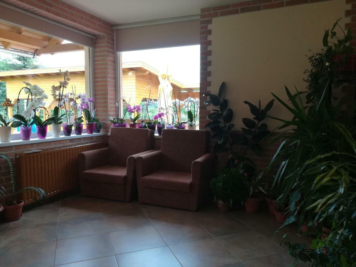 Pensiunea Colt Alb Băile Homorod 外观 照片