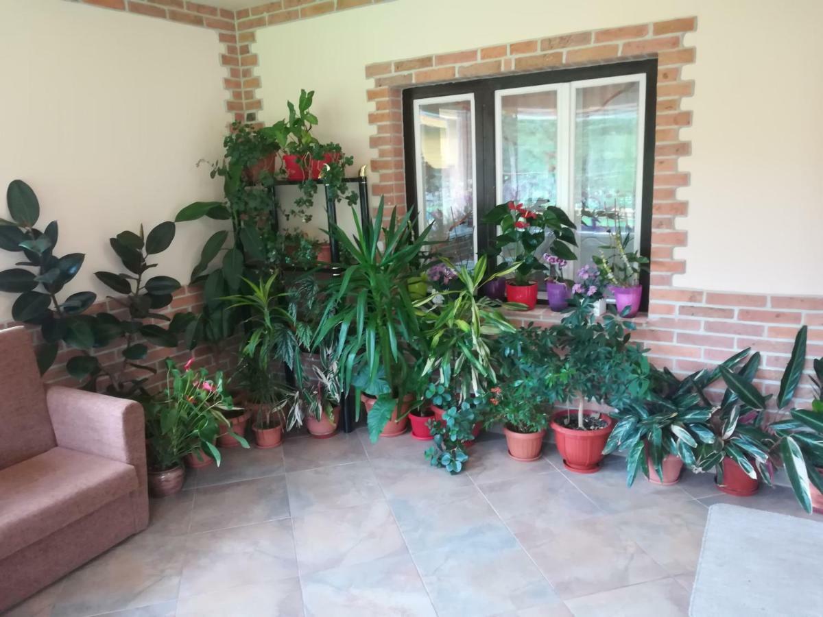 Pensiunea Colt Alb Băile Homorod 外观 照片